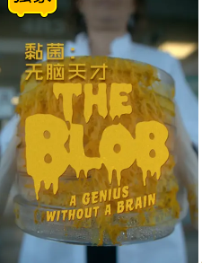黏菌：无脑天才 The Blob A genius without a Brain
