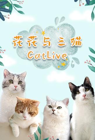 花花与三猫catlive